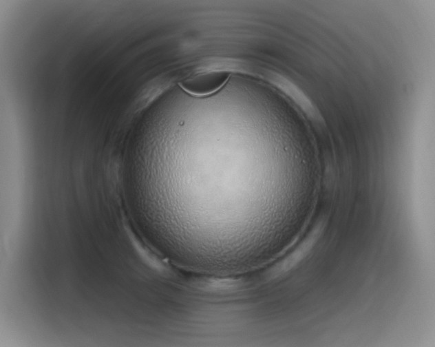 X0000116110849200911231144