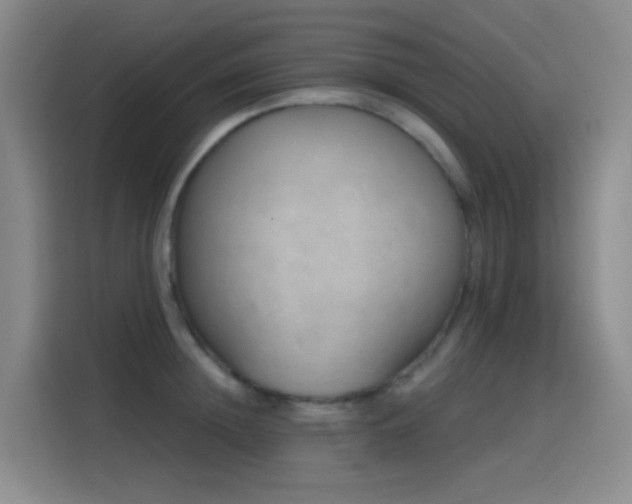 X0000116110852200911231144