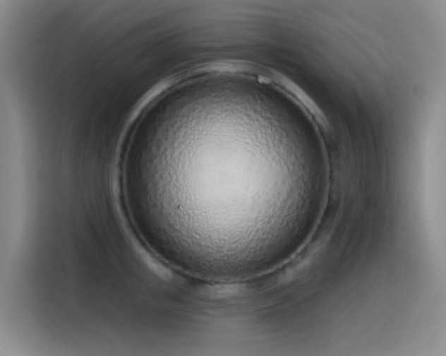 X0000116110853200911231144