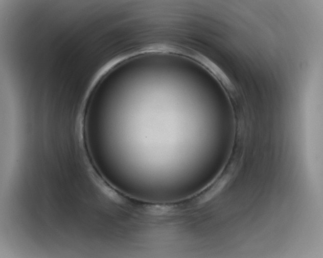 X0000116110854200911231144