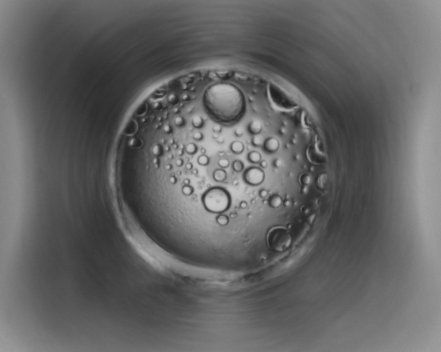 X0000116110855200911231144