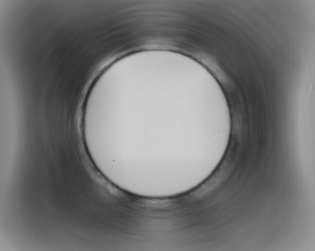 X0000116110856200911231144