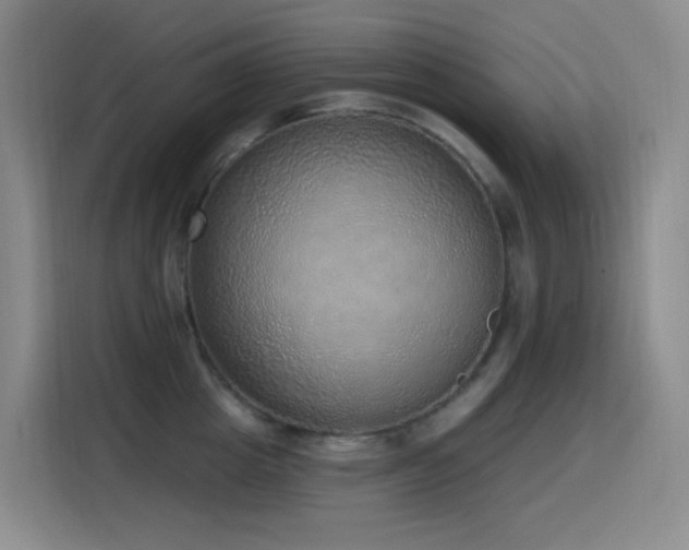 X0000116110857200911231144