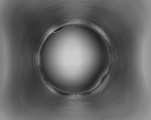 X0000116110858200911231144