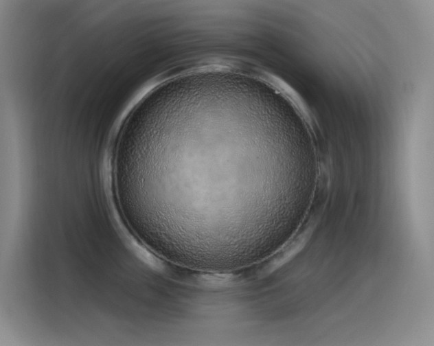 X0000116110859200911231144