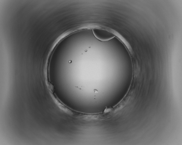 X0000116110861200911231144