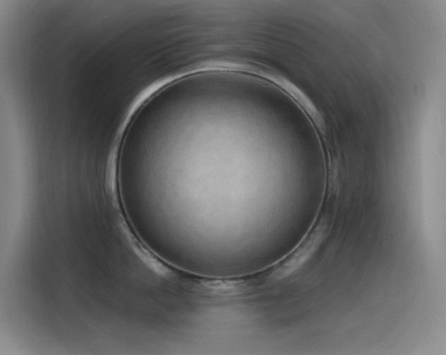 X0000116110862200911231144