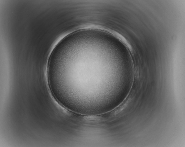 X0000116110863200911231144