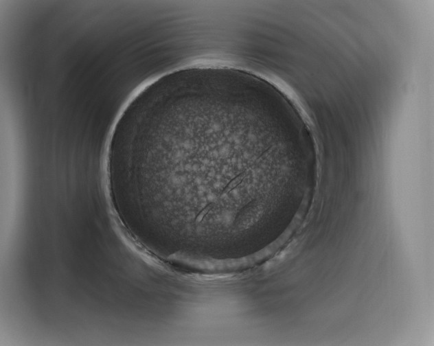 X0000116110864200911231144