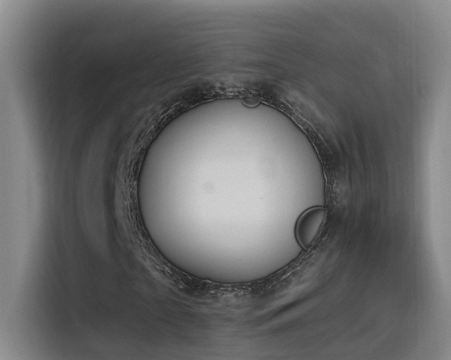 X0000116110865200911231143