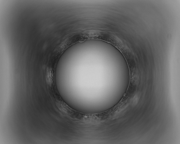 X0000116110866200911231143