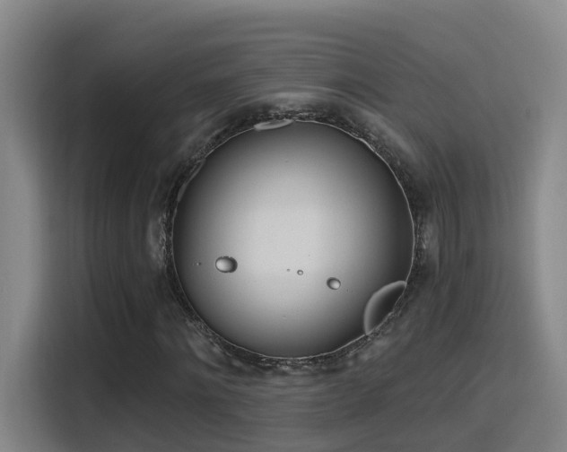 X0000116110868200911231143