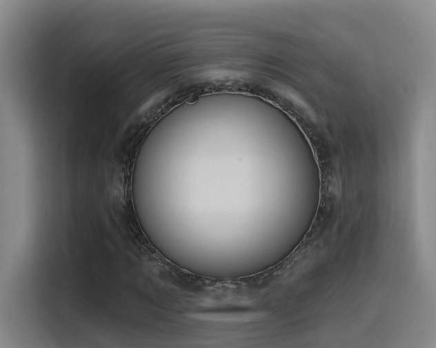 X0000116110869200911231143