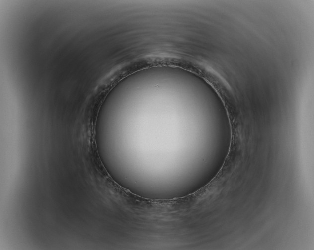 X0000116110870200911231143