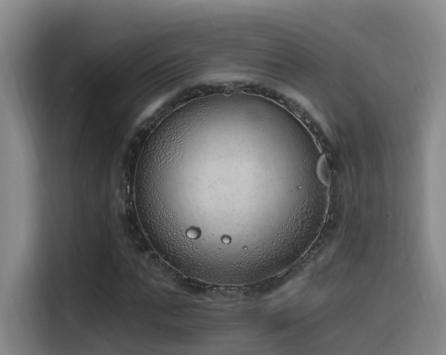 X0000116110871200911231143