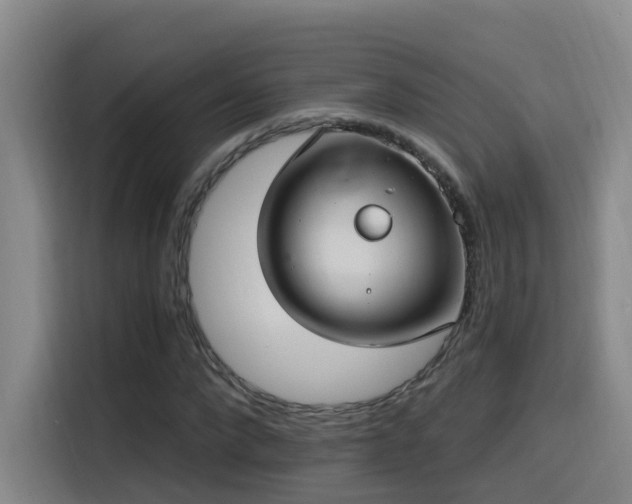 X0000116110872200911231143