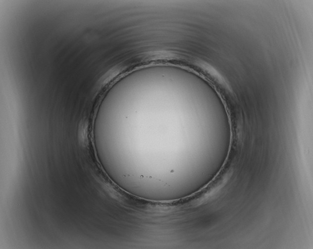 X0000116110873200911231143