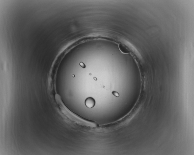 X0000116110876200911231143