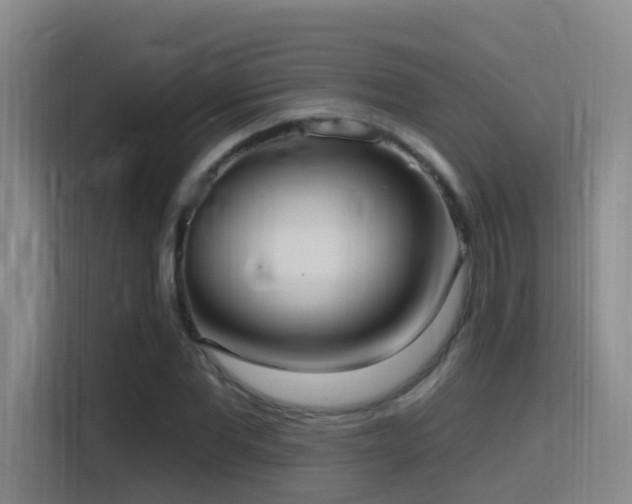 X0000116110877200911231143