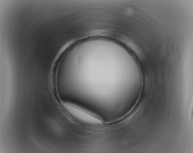 X0000116110878200911231143