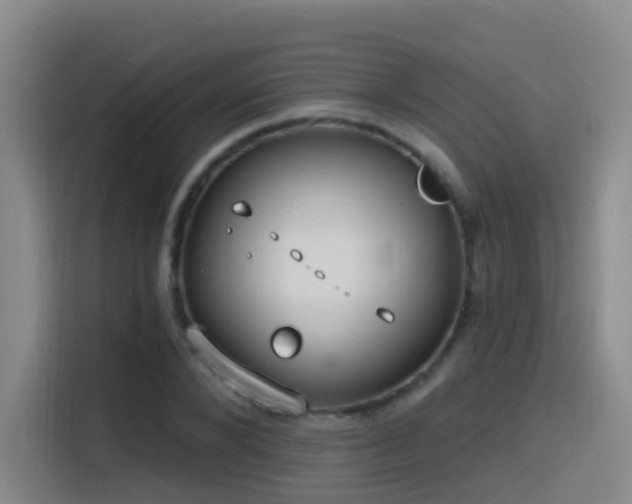 X0000116110880200911231143