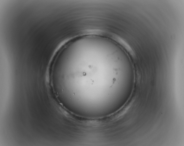 X0000116110883200911231143