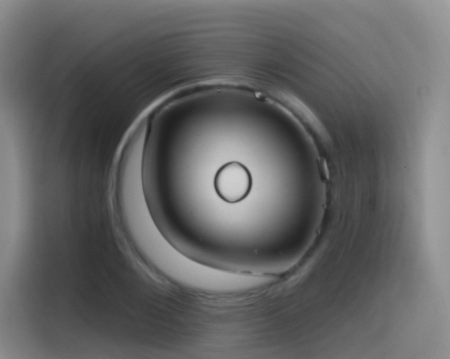 X0000116110884200911231143