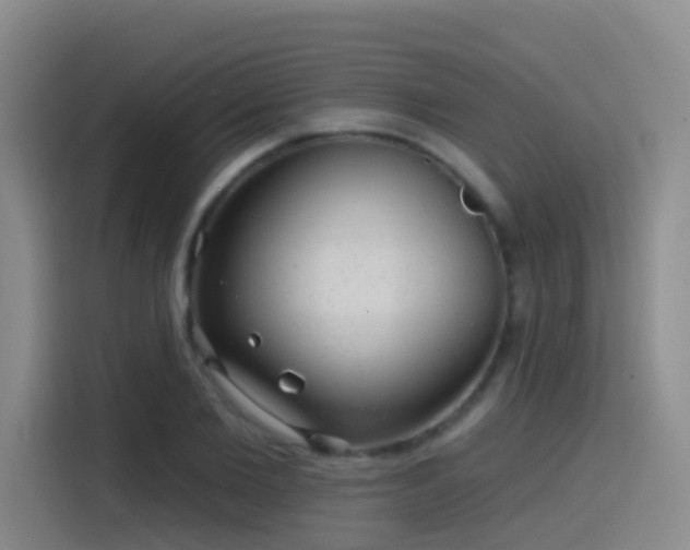 X0000116110885200911231143