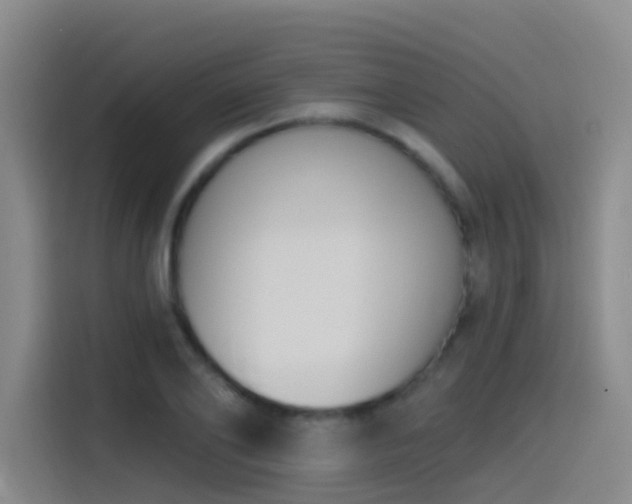 X0000116110886200911231143