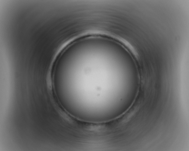 X0000116110887200911231143