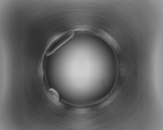 X0000116110892200911231143