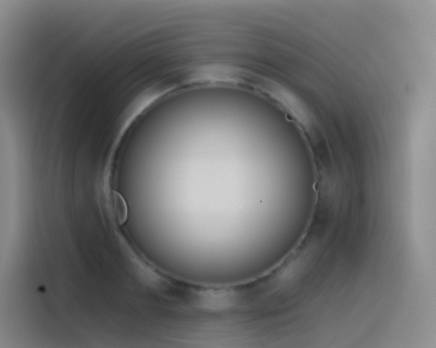 X0000116110893200911231143