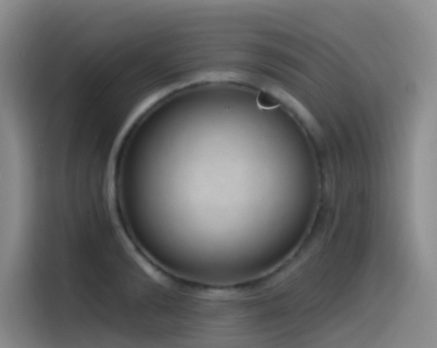 X0000116110894200911231143