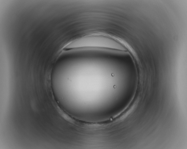 X0000116110897200911231143