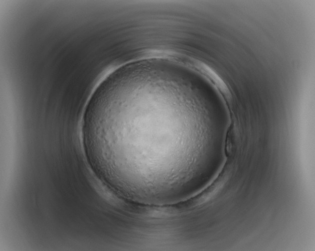 X0000116110899200911231143