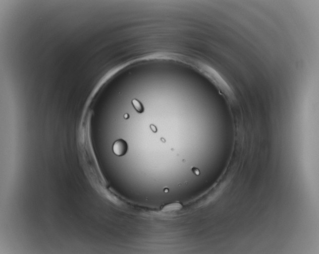 X0000116110900200911231143