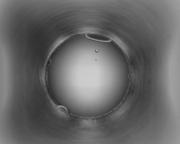 X0000116110901200911231143