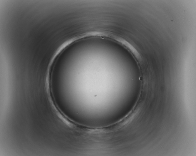 X0000116110902200911231143