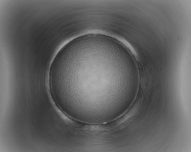 X0000116110903200911231143