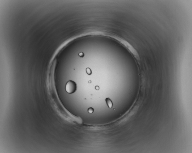 X0000116110904200911231143