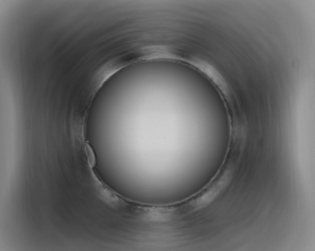 X0000116110905200911231143