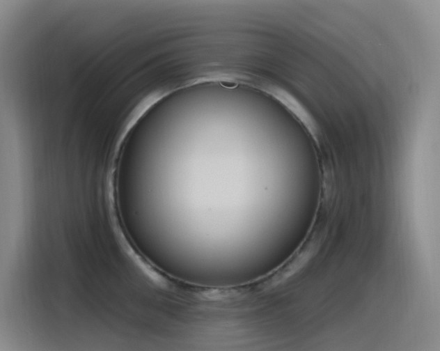 X0000116110906200911231143