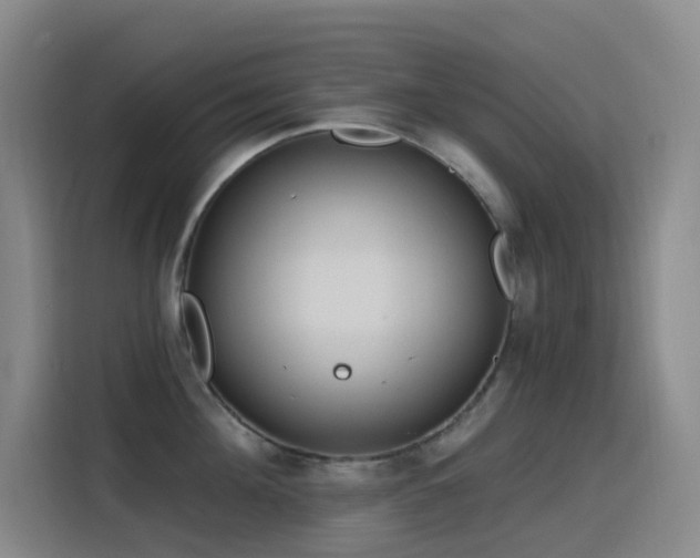 X0000116110908200911231143