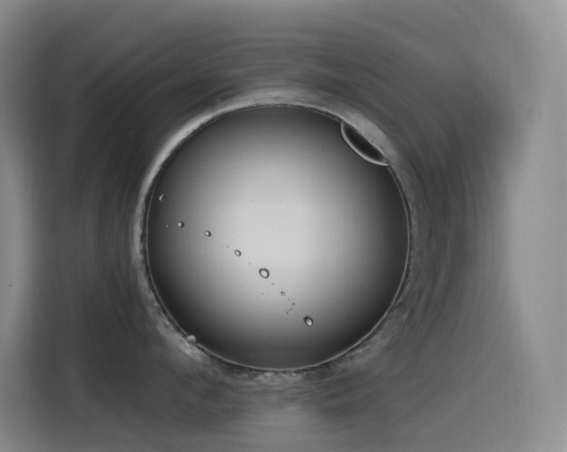 X0000116110912200911231143