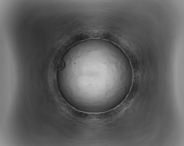 X0000116110913200911231142