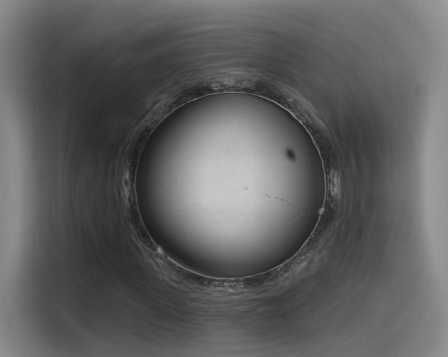 X0000116110915200911231142