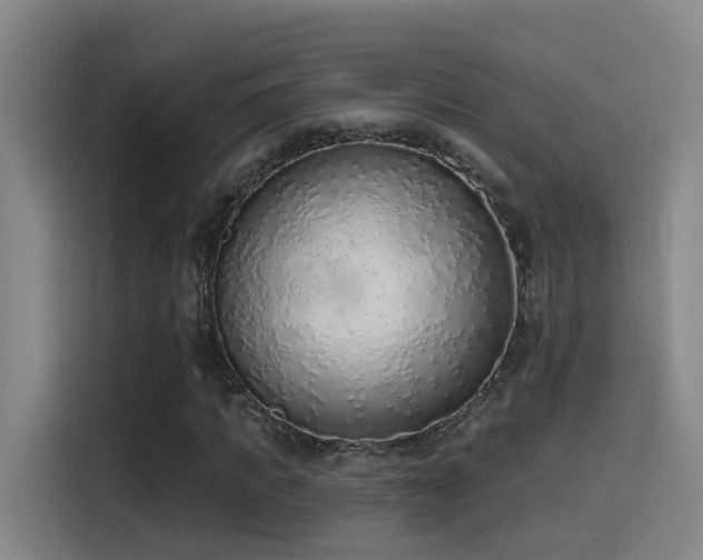 X0000116110917200911231142