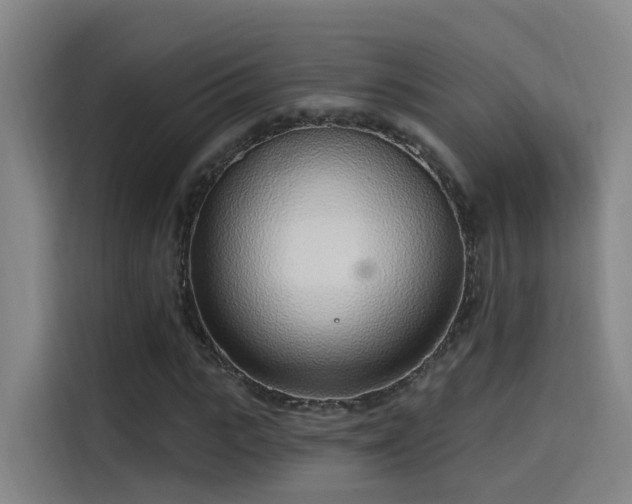 X0000116110919200911231142