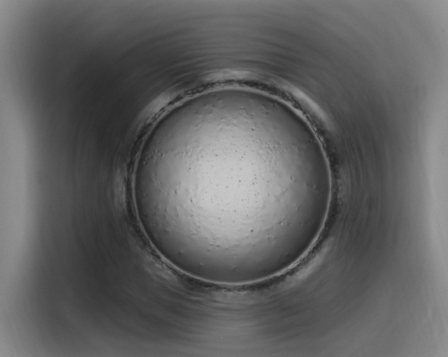 X0000116110921200911231142
