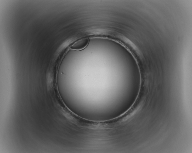 X0000116110922200911231142
